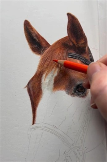 ⚡🎨Drawing a Realistic Horse with Colored Pencils | Step-by-Step #art #drawing #shots