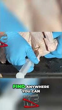 How to Inject Flavor Packed Creole Butter into Turkey