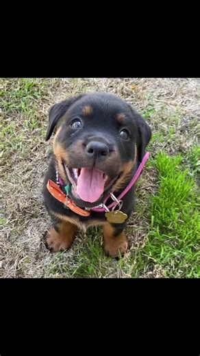 Rome🇵🇭 (@simplerome)’s videos with Night Changes - One Direction