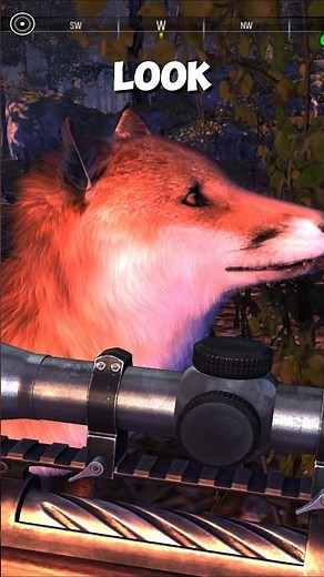 Look at this FACE! ❄️🦊|Cabela's Big Game Hunter: Pro Hunts