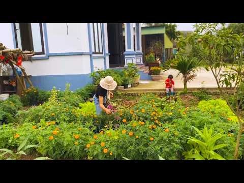 Slow Living in March: Fresh Greens & Countryside Cooking I Farm to Table