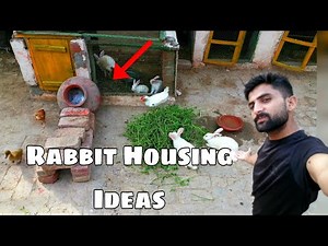 How To Make Rabbit House 🏡 Step By Step Rabbit Home Tutorial