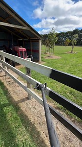 5.3K views · 14 reactions | Post and rail paint spraying 02102981522 | CL Fence Painting Specialists | Facebook