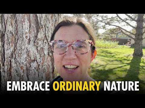 What Is Forest Bathing Anyway? Ordinary Nature Practice for Everybody.