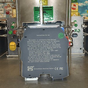 [Hot Item] 20-35VDC Explosion-Proof Rtd PT100 Signal Input Output Isolation Safety Barrier