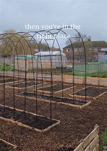 Really happy with our alltoment progress, just looking forward to planting now Spring is just around the corner. 🌿 #allotmentgardening #allotment #growyourown #allotmentuk #gardentok