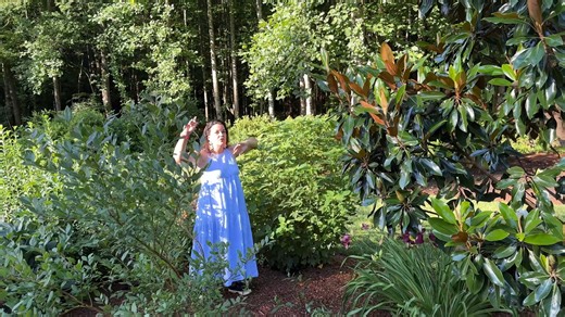 13K views · 522 reactions | Join me for a summer tour of the...