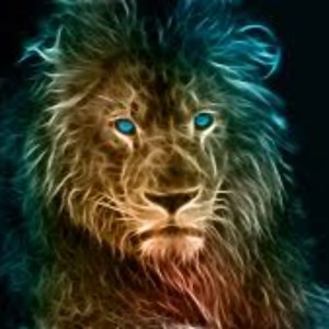 Lion - Twitch