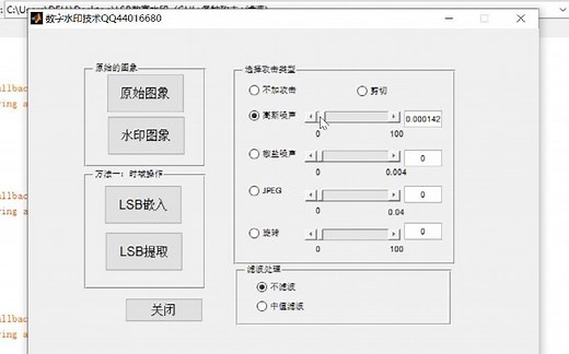基于MATLAB数字水印技术[lsb，dwt，dct，dft各算法][vx：matlab674]