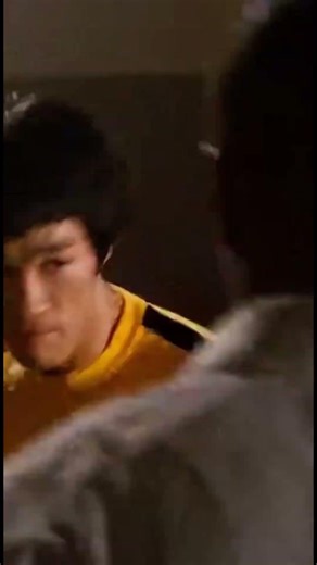 Bruce Lee Martial Arts Fury