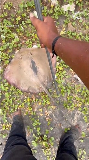 കണ്ണിൽ കുത്തിയോ #keralafishing #shorts