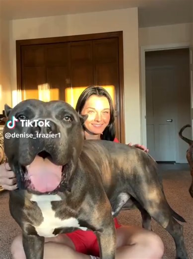 My Dog is the Best: A Celebratory Tribute