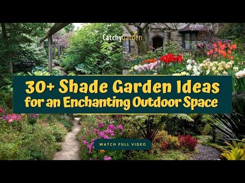 30+ Shade Garden Ideas for an Enchanting Outdoor Space 🌸🌳 // Gardening Ideas