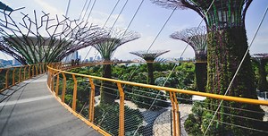 Investing in green buildings