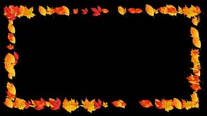 Framework, Fall, Nature. Free Stock Video