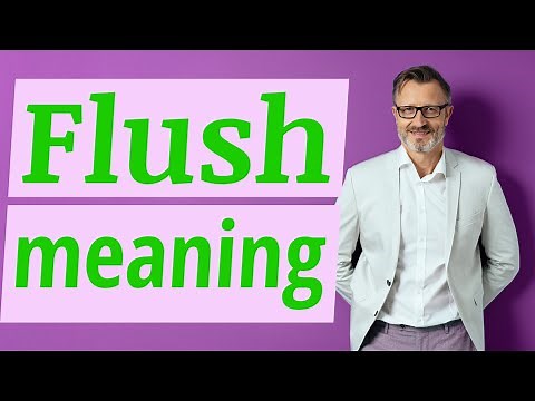 Flush | Meaning of flush
