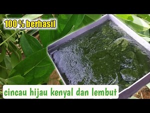 How to make green grass jelly from cincau leaves, no fail