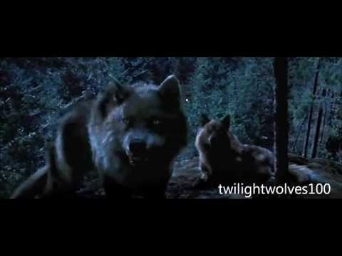 NEW wolf scenes | Twilight 2-4.1 scenes HD.wmv