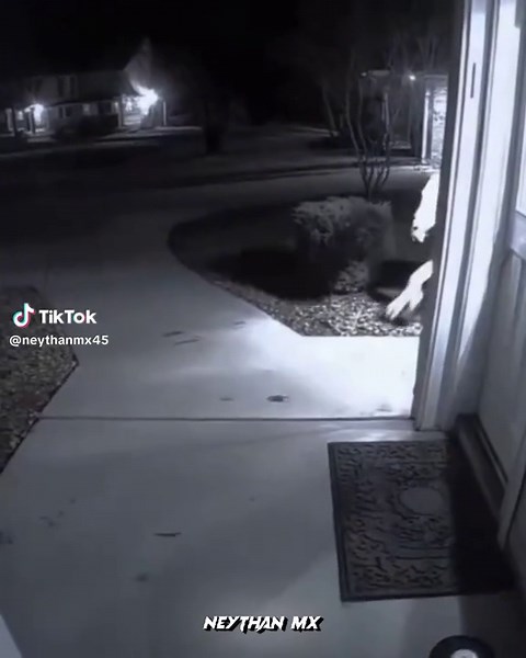 Creepy Creature Encounter at the Door