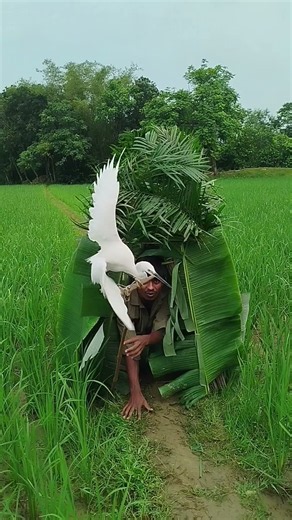 #amazing #birds #hunting #foryou