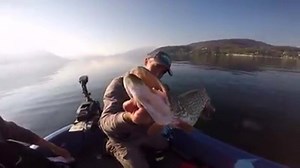 8.2K views · 264 reactions | Fishing Europa on Reels | Facebook