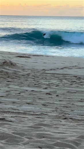 Waves, wipeouts, and pure stoke — a boogie board ride fest on the legendary North Shore! 🤙🌊 Every splash is a story. #NorthShoreHawaii #BoogieBoarding #OahuVibes #HawaiiLife #WaveRiders #OceanFun #AlohaVibes #BeachDay #SurfHawaii #TropicalEnergy | Larry Janson