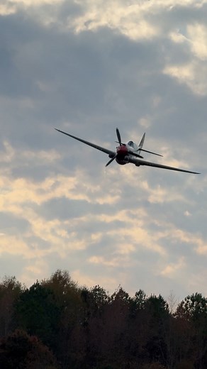 P-40 Diving In! Classic Warbird Music courtesy of the Allison V-1710 and maestro Thom Richard at the controls. Sorry about the camera clicks, was using my 5D IV here. Nothing like some beautiful warbird engine music! #p40 #WWII #vintage #aviationlovers #Wow | Ryan Tykosh Photography