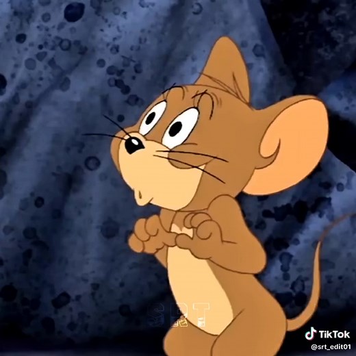 Tom and Jerry Funny Moments Compilation