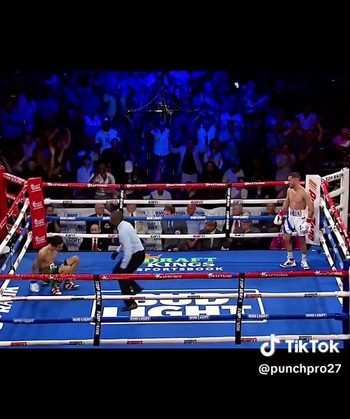 Ｐｕｎｃｈｐｒｏ on TikTok