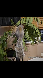 305 reactions · 13 comments | Baetril has gotten very adept at...