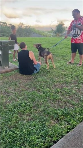 ME MEETING NEW FRIENDS 🐕😂YOU SO CUTE 👧