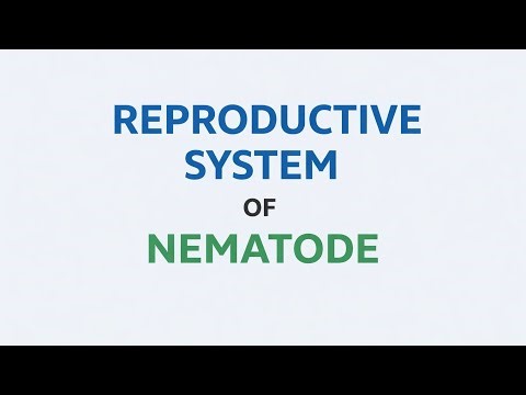 Reproductive system of nematodes#agriculture #nematology #competitiveexams