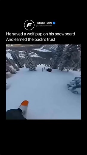 Future Fold on Instagram: "A snowboarder races through a frozen wilderness, scoops up a wolf pup just before a bear reaches it, then follows the pup to a cave where the pack accepts him as one of their own. The scene feels cinematic, emotional, and real at first glance. But the entire 37 second clip is AI generated. Viewers who looked closer spotted the signs. Rocks with unnatural shapes, stiff character movements, and physics that do not exist in the real world. What begins as a touching rescue