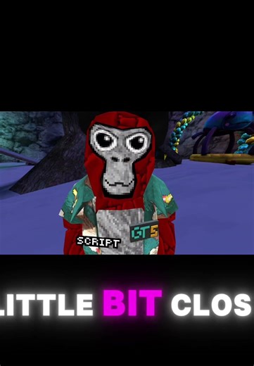 How to get gtag long arms