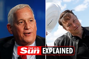 Who is Elon Musk's biographer Walter Isaacson?