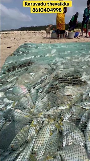 Seashore live fishing we got much 💥 #fishing