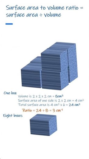 How to calculate surface area to volume ratio for GCSE