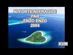 NI FORTE NI FRAGILE ENZO ENZO 2004 - PAROLES