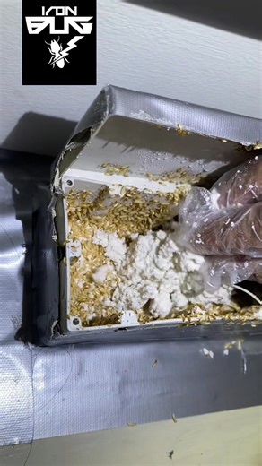 ❌สอบถามเพิ่มเติม❌ Tel : 096-002-3643 Line :@ironbug(มี@นำหน้า) https://lin.ee/sIju5cF | กำจัดปลวก IRON BUG