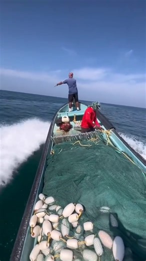 Does it navigate 🤪 | Dee Wallace