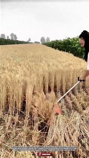 Smart Harvesting Tool: Portable Machine for Fast and Neat Grain Cutting