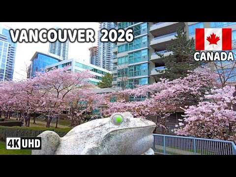 🇨🇦 【4K】🌸🌸🌸 Downtown Vancouver and Burnaby. BC, Canada. March 2026. Relaxing Walk.