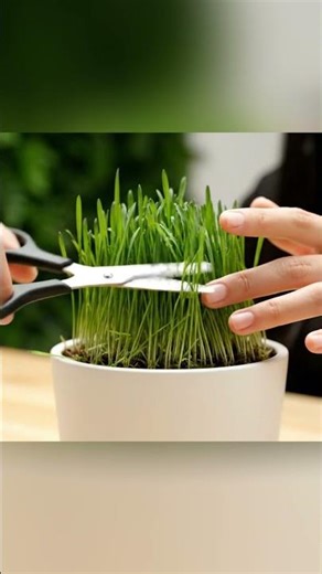 ASMR: Trimming the Grass with Scissors ✂️ #RelaxingSounds #ASMR #AI