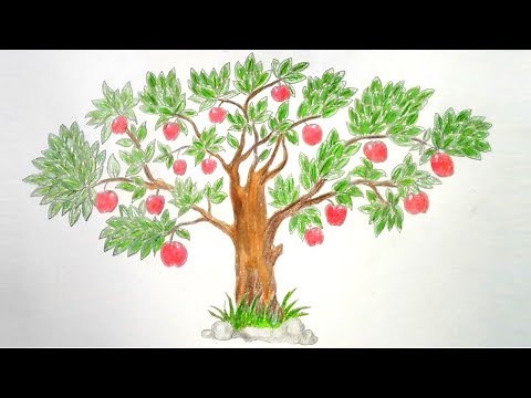 How to draw Apple Tree step by step ||very easy||