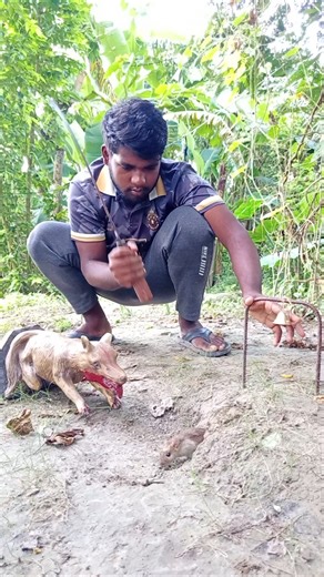 The farmer's son's rat-hunting skills #hunting #survival #shorts #rattrap #hunt