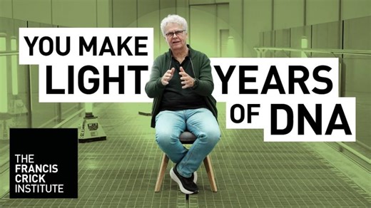 Cracking DNA replication - John Diffley - Lifeworks | Nick Peel