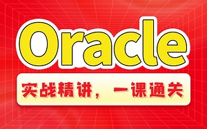 动力节点Oracle从入门到精通全套教程数据库实战精讲