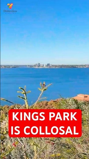 Kings Park Perth Is Absolutely Insane