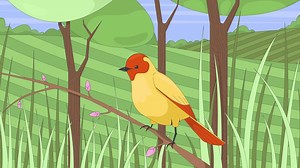 Little bird perched on bud branch in lush grassland 2D cartoon animation. Songbird in grassy field. Birdwatching springtime. Wildlife animated flat character 4K background scene storytelling
