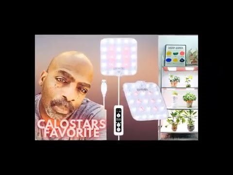 DOMMIA Grow Light Review |Full Spectrum, High PPFD, Auto Timer Best for Indoor Plants & Hydroponics!